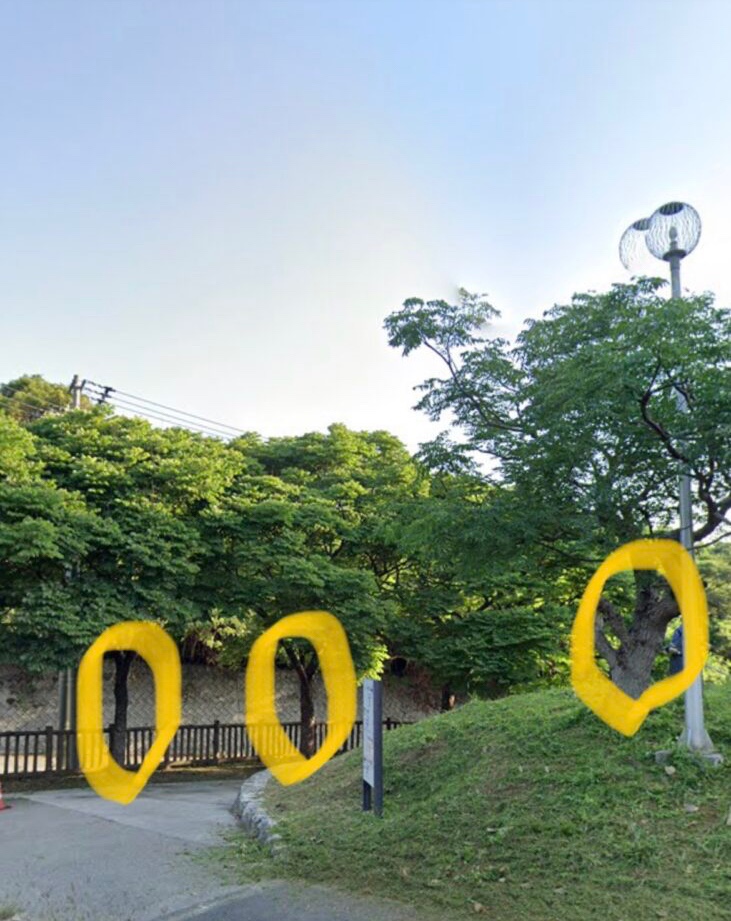 浦添大公園の４本木